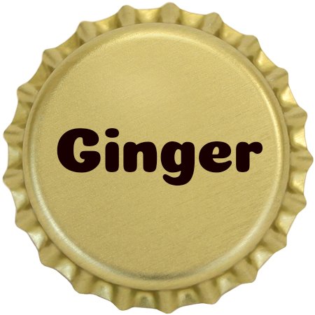 Ginger Beer - Soda Pop Bros