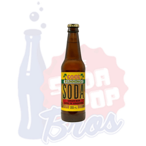 Cool Runnings Ginger Beer - Soda Pop BrosSoda