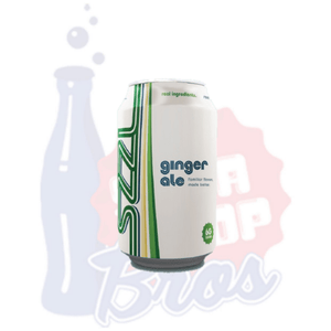SZZL Ginger Ale (Can) - Soda Pop BrosSoda